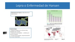 Lepra o Enfermedad de Hansen
Mycobacterium leprae y Mycobacterium
lepromatosis.
Epidemiología
- Incidencia estable en los últimos años,
250.000 casos anuales.
- Problema de salud global --- endémica en
más de 15 países.
- En países desarrollados, mayoritariamente
son casos importados.
 