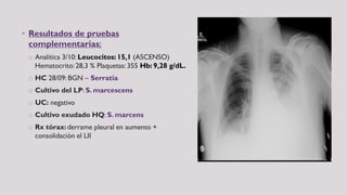 • Resultados de pruebas
complementarias:
o Analítica 3/10: Leucocitos: 15,1 (ASCENSO)
Hematocrito: 28,3 % Plaquetas: 355 Hb: 9,28 g/dL.
o HC 28/09: BGN – Serratia
o Cultivo del LP: S. marcescens
o UC: negativo
o Cultivo exudado HQ: S. marcens
o Rx tórax: derrame pleural en aumento +
consolidación el LII
 