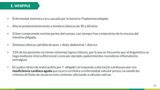 15
• Enfermedad sistémica rara causada por la bacteria Tropheryma whipplei.
• Afecta predominantemente a hombres blancos de 30 a 60 años.
• Si bien compromete muchas partes del cuerpo, casi siempre hay compromiso de la mucosa del
intestino delgado.
• Síntomas clásicos: pérdida de peso + dolor abdominal + diarrea
• 15% de los pacientes no tienen síntomas/signos clásicos, por lo que es frecuente que el diagnóstico se
haga mediante clínica diferencial, como por ejemplo, padecimientos reumáticos inflamatorios
(artralgias)
• El cuadro clínico de endocarditis por T. whipplei corresponde a afectación cardiovascular con
insuficiencia cardiaca aguda que ocurre sin fiebre o enfermedad valvular previa, no siendo los
criterios de Duke de ayuda en este contexto; afectando a válvulas nativas
E. WHIPPLE
 