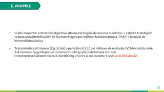 16
• Si alta sospecha: endoscopía digestiva alta más la biopsia de mucosa duodenal -> estudio histológico
se basa en la identificación de los macrófagos que infiltran la lámina propia (PAS+) / técnicas de
inmunohistoquímica
• Tratamiento: ceftriaxona (2 g IV/día) o penicilina G (1,5 a 6 millones de unidades IV/6 horas) durante
2-4 semanas. Seguido por un tratamiento a largo plazo de terapia oral con
trimetoprima/sulfametoxazol (160/800 mg 2 veces al día durante 1 año) OJO RECAIDAS
E. WHIPPLE
 