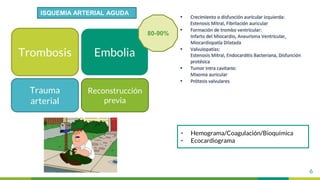6
ISQUEMIA ARTERIAL AGUDA
Embolia
Trauma
arterial
Trombosis
Reconstrucción
previa
80-90%
• Hemograma/Coagulación/Bioquímica
• Ecocardiograma
 