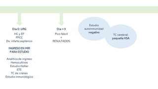 Dia 0: URG
HC y EF
PPCC
Dx: infarto esplénico
INGRESO EN MIR
PARA ESTUDIO
Analítica de ingreso
Hemocultivos
Estudio Holter
ETE
TC de cráneo
Estudio inmunológico
Dia +3
Pico febril
+
RESULTADOS
Estudio
autoinmunidad
negativo
TC cerebral:
pequeña HSA
 