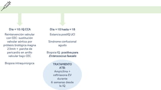 Dia +10 hasta +18
Estancia postIQ UCI
Síndrome confusional
agudo
Biopsia IQ: positiva para
Enterococcus faecalis
Dia +10: IQ CCA
Reintervención valvular
con CEC: sustitución
valvular aórtica por
prótesis biológica magna
23mm + parche de
pericardio en anillo
valvular bajo CEC
Biopsia intraquirúrgica TRATAMIENTO
ATB:
Ampicilina +
ceftriaxona EV
durante
6 semanas desde
la IQ
 