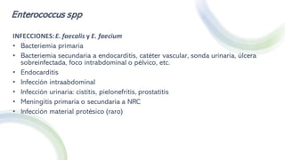 Enterococcus spp
INFECCIONES:E. faecalis y E. faecium
• Bacteriemia primaria
• Bacteriemia secundaria a endocarditis, catéter vascular, sonda urinaria, úlcera
sobreinfectada, foco intrabdominal o pélvico, etc.
• Endocarditis
• Infección intraabdominal
• Infección urinaria: cistitis, pielonefritis, prostatitis
• Meningitis primaria o secundaria a NRC
• Infección material protésico (raro)
 