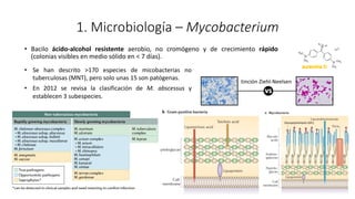 1. Microbiología – Mycobacterium
• Bacilo ácido-alcohol resistente aerobio, no cromógeno y de crecimiento rápido
(colonias visibles en medio sólido en < 7 días).
tinción Ziehl-Neelsen
• Se han descrito >170 especies de micobacterias no
tuberculosas (MNT), pero solo unas 15 son patógenas.
• En 2012 se revisa la clasificación de M. abscessus y
establecen 3 subespecies.
Glycopeptidolipids (GPL)
 