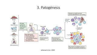 3. Patogénesis
Johansen et al., 2020
 