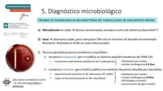 5. Diagnóstico microbiológico
1) Microdilución en caldo à técnica recomendada, enviado a centro de referencia (Sensititre™)
2) Etest à alternativa viable, pero interpretar CMI sólo en términos de Sensible-Incrementada-
Resistente. Realizado en HUSE en casos seleccionados.
3) Técnicas genotípicas para la resistencia a macrólidos:
Ø resistencia mutacional: gen rrl codifica un dominio peptidil transferasa del rRNA 23S
• mutaciones espontáneas posibles en las 3 subespecies
Ø resistencia inducible: gen erm(41) codifica una metilasa ribosomal inducible por macrólidos
• copia funcional presente en M. abscessus y M. bolleti
• copia no funcional presente en M. massiliense
PRUEBAS DE SENSIBILIDAD EN MICOBACTERIAS NO TUBERCULOSAS DE CRECIMIENTO RÁPIDO
sólo existe correlación in vitro
– in vivo para macrólidos y
amikacina
- hibridación por sondas
- incubar antibiograma 14 días
- PCR dirigida a erm(41)
- secuenciación del gen erm(41)
- hibridación por sondas
- incubar antibiograma 4-5 días
 