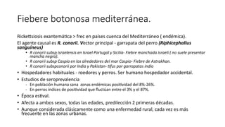 Fiebere botonosa mediterránea.
RickeIsiosis exantemáEca > frec en países cuenca del Mediterráneo ( endémica).
El agente causal es R. conorii. Vector principal - garrapata del perro (Riphicephallus
sanguineus)
• R conorii subsp israelensis en Israel Portugal y Sicilia- Fiebre manchada israelí ( no suele presentar
mancha negra).
• R conorii subsp Caspia en los alrededores del mar Caspio- Fiebre de Astrakhan.
• R conorii subspconorii por India y Pakistan- Afus por garrapatas indio
• Hospedadores habituales - roedores y perros. Ser humano hospedador accidental.
• Estudios de seroprevalencia
- En población humana sana zonas endémicas posi5vidad del 8%-26%.
- En perros índices de posi5vidad que ﬂuctúan entre el 3% y el 87%.
• Época esEval.
• Afecta a ambos sexos, todas las edades, predilección 2 primeras décadas.
• Aunque considerada clásicamente como una enfermedad rural, cada vez es más
frecuente en las zonas urbanas.
 