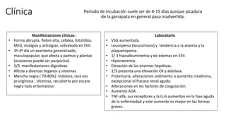 Clínica Período de incubación suele ser de 4-15 días aunque picadura
de la garrapata en general pasa inadver2da.
Laboratorio
• VSG aumentada.
• Leucopenia (leucocitosis) y tendencia a la anemia y la
plaquetopenia.
• 1/ 3 hipoalbuminemia y de edemas en EEII.
• Hiponatremia.
• Elevación de las enzimas hepáacas.
• 1/3 presenta una elevación CK y aldolasa.
• Proteinuria, alteraciones sedimento o aumento creaanina,
excepcional el fracaso renal agudo.
• Alteraciones en los factores de coagulación.
• Aumento ADA .
• TNF-alfa, sus receptores y la IL-6 aumentan en la fase aguda
de la enfermedad y este aumento es mayor en las formas
graves.
Manifestaciones clínicas:
• Forma abrupta, ﬁebre alta, cefalea, fotofobia,
MEG, mialgias y artralgias, sobretodo en EEII.
• 3º-4º día un exantema generalizado,
maculopapular, que afecta a palmas y plantas
(ocasiones puede ser purpúrico).
• 1/3 manifestaciones digesavas
• Afecta a diversos órganos y sistemas
• Mancha negra ( 70-80%): indolora, rara vez
pruriginosa. Ulcerosa, recubierta por escara
negra halo eritematoso
 
