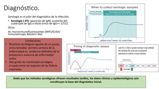 Diagnós@co.
Serología es el pilar del diagnósaco de la infección.
• Serología ( IFI): aparición de IgM, aumento del
cuádruple de IgG o utulo único de IgG>= 1/512.
Otras
Ac microinmunoﬂuorescentes (MIF)/ELISA/
Inmunoensayo Western blot
Dado que los métodos serológicos ofrecen resultados tardíos, los datos clínicos y epidemiológicos aún
constuyen la base del diagnósco inicial.
Limitaciones
• Muestras serológicas agudas de un punto
único tomadas primera semana de la
enfermedad no evidencia deﬁniava de la
presencia o ausencia de enfermedad
acava
• Alto grado de reacavidad serológica
cruzada entre las especies de las ﬁebres
machadas.
 