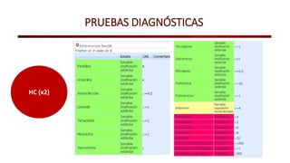 PRUEBAS DIAGNÓSTICAS
HC (x2)
 