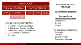CLASIFICACIÓN
VÁLVULA IZQUIERDA
NATIVA PROTÉSICA
PRECOZ
(<1A)
TARDÍA
(>1A)
VÁLVULA DERECHA
ADVP MP/DAI
NO ADVP/
MP/DAI
EI CON HEMOCULTIVOS POSTIVOS
• S. viridans, S. mutans, S. sanguis
• S. Gallolyticus  cáncer de colon
• Enterococos  infecciones urinarias
• S. pneumonae  alcohólicos
• S. aureus
EI CON HEMOCULTIVOS
NEGATIVOS
Por tratamiento ATB previo
Por organismos
frecuentemente negativos
• Grupo HACEK
• Brucella
• Hongos
Por organismos intracelulares
• Bartonella
• Clamydia
• Coxiella burnetti
• Tropheryma whippley
 