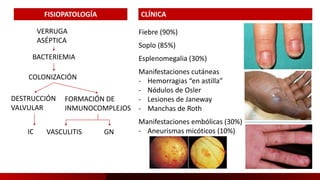 FISIOPATOLOGÍA CLÍNICA
VERRUGA
ASÉPTICA
BACTERIEMIA
COLONIZACIÓN
DESTRUCCIÓN
VALVULAR
IC
FORMACIÓN DE
INMUNOCOMPLEJOS
VASCULITIS GN
Fiebre (90%)
Soplo (85%)
Esplenomegalia (30%)
Manifestaciones cutáneas
- Hemorragias “en astilla”
- Nódulos de Osler
- Lesiones de Janeway
- Manchas de Roth
Manifestaciones embólicas (30%)
- Aneurismas micóticos (10%)
 