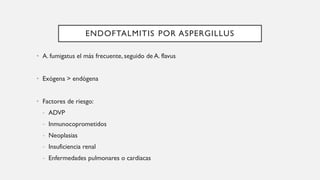 ENDOFTALMITIS POR ASPERGILLUS
• A. fumigatus el más frecuente, seguido de A. flavus
• Exógena > endógena
• Factores de riesgo:
- ADVP
- Inmunocoprometidos
- Neoplasias
- Insuficiencia renal
- Enfermedades pulmonares o cardiacas
 