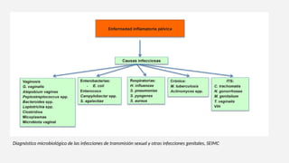 Diagnóstico microbiológico de las infecciones de transmisión sexual y otras infecciones genitales, SEIMC
 