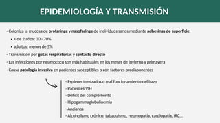 < de 2 años: 30 - 70%
adultos: menos de 5%
- Coloniza la mucosa de orofaringe y nasofaringe de individuos sanos mediante adhesinas de superficie:
- Transmisión por gotas respiratorias y contacto directo
- Las infecciones por neumococo son más habituales en los meses de invierno y primavera
- Causa patología invasiva en pacientes susceptibles o con factores predisponentes
EPIDEMIOLOGÍA Y TRANSMISIÓN
- Esplenectomizados o mal funcionamiento del bazo
- Pacientes VIH
- Déficit del complemento
- Hipogammaglobulinemia
- Ancianos
- Alcoholismo crónico, tabaquismo, neumopatía, cardiopatía, IRC...
 