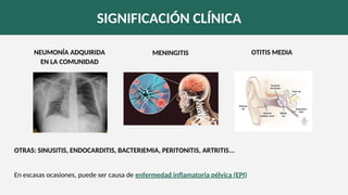 SIGNIFICACIÓN CLÍNICA
En escasas ocasiones, puede ser causa de enfermedad inflamatoria pélvica (EPI)
NEUMONÍA ADQUIRIDA
EN LA COMUNIDAD
MENINGITIS OTITIS MEDIA
OTRAS: SINUSITIS, ENDOCARDITIS, BACTERIEMIA, PERITONITIS, ARTRITIS...
 