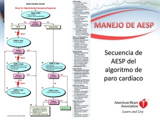 Secuencia de
AESP del
algoritmo de
paro cardíaco

 