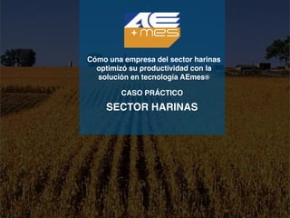 Cómo una empresa del sector harinas
optimizó su productividad con la
solución en tecnología AEmes®
CASO PRÁCTICO
SECTOR HARINAS
 