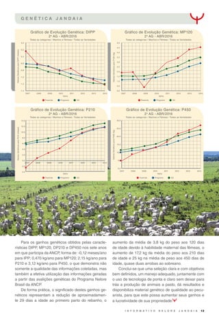 I N F O R M A T I V O N E L O R E J A N D A I A 13
G E N É T I C A J A N D A I A
Para os ganhos genéticos obtidos pelas caracte-
rísticas DIPP, MP120, DP210 e DP450 nos sete anos
em que participa da ANCP, forma de: -0,12 meses/ano
para IPP; 0,470 kg/ano para MP120; 2,15 kg/ano para
P210 e 3,12 kg/ano para P450, o que demonstra não
somente a qualidade das informações coletadas, mas
também a efetiva utilização das informações geradas
a partir das avalições genéticas do Programa Nelore
Brasil da ANCP.
De forma prática, o significado destes ganhos ge-
néticos representam a redução de aproximadamen-
te 29 dias a idade ao primeiro parto do rebanho, o
aumento da média de 3,8 kg do peso aos 120 dias
de idade devido à habilidade maternal das fêmeas, o
aumento de 17,2 kg da média do peso aos 210 dias
de idade e 25 kg na média de peso aos 450 dias de
idade, quase duas arrobas ao sobreano.
Conclui-se que uma seleção clara e com objetivos
bem definidos, um manejo adequado, juntamente com
o uso de tecnologia de ponta e claro sem deixar para
trás a produção de animais a pasto, dá resultados e
disponibiliza material genético de qualidade ao pecu-
arista, para que este possa aumentar seus ganhos e
a lucratividade de sua propriedade.
Gráfico de Evolução Genética: DIPP
2a
AG - ABR/2016
Gráfico de Evolução Genética: P210
2a
AG - ABR/2016
Gráfico de Evolução Genética: MP120
2a
AG - ABR/2016
Gráfico de Evolução Genética: P450
2a
AG - ABR/2016
Todas as categorias / Machos e Fêmeas / Todas as Variedades
Todas as categorias / Machos e Fêmeas / Todas as Variedades
Todas as categorias / Machos e Fêmeas / Todas as Variedades
Todas as categorias / Machos e Fêmeas / Todas as Variedades
ProgramaFazenda G2
ProgramaFazenda G2
ProgramaFazenda G2
ProgramaFazenda G2
ValoresGenéticosparaDIPP(meses)ValoresGenéticosparaP210(meses)
ValoresGenéticosparaP120(kg)ValoresGenéticosparaP450(kg)
0,0
-0,2
-0,4
-0,6
-0,8
-1,0
-1,2
-1,4
14,0
12,0
10,0
8,0
6,0
4,0
2,0
0,0
-2,0
-4,0
5,0
4,5
4,0
3,5
3,0
2,5
2,0
1,5
1,0
0,5
0,0
30,0
25,0
20,0
15,0
10,0
5,0
0,0
2007
2007
2007
2007
2008
2008
2008
2008
2009
2009
2009
2009
2010
2010
2010
2010
Safra
Safra
Safra
Safra
2011
2011
2011
2011
2012
2012
2012
2012
2013
2013
2013
2013
2014
2014
2014
2014
 