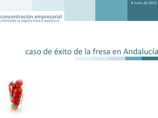 # julio de 2013

concentración empresarial
orientando su negocio hacia la excelencia

concentración empresarial
orientando su negocio hacia la excelencia

caso de éxito de la fresa en Andalucía

 