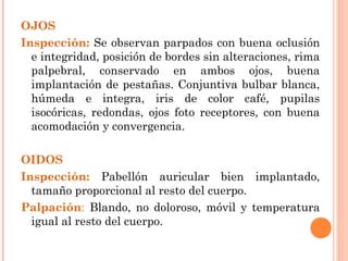 OJOS
Inspección: Se observan parpados con buena oclusión
  e integridad, posición de bordes sin alteraciones, rima
  palpebral, conservado en ambos ojos, buena
  implantación de pestañas. Conjuntiva bulbar blanca,
  húmeda e integra, iris de color café, pupilas
  isocóricas, redondas, ojos foto receptores, con buena
  acomodación y convergencia.

OIDOS
Inspección: Pabellón auricular bien implantado,
  tamaño proporcional al resto del cuerpo.
Palpación: Blando, no doloroso, móvil y temperatura
  igual al resto del cuerpo.
 