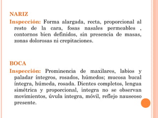 NARIZ
Inspección: Forma alargada, recta, proporcional al
  resto de la cara, fosas nasales permeables ,
  contornos bien definidos, sin presencia de masas,
  zonas dolorosas ni crepitaciones.



BOCA
Inspección: Prominencia de maxilares, labios y
  paladar íntegros, rosados, húmedos; mucosa bucal
  íntegra, húmeda, rosada. Dientes completos, lengua
  simétrica y proporcional, integra no se observan
  movimientos, úvula integra, móvil, reflejo nauseoso
  presente.
 