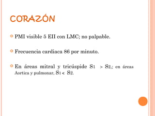 CORAZÓN

   PMI visible 5 EII con LMC; no palpable.

   Frecuencia cardiaca 86 por minuto.

   En áreas mitral y tricúspide S1 > S2,; en áreas
    Aortica y pulmonar, S1 < S2.
 