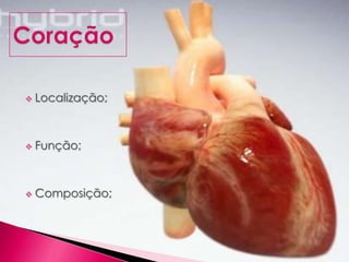  Localização;
 Função;
 Composição;
 