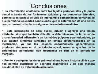 Conclusiones
• La interrelación anatómica entre los tejidos periodontales y la pulpa
dental a través de los forámenes apicales y los conductos laterales,
permite la existencia de vías de intercambio componentes dentarios, lo
que permitiría, en ciertas condiciones, que la enfermedad de uno de los
compartimientos tisulares origine enfermedades en el otro.

• Esta interacción no sólo puede inducir o agravar una lesión
existente, sino que también dificulta la determinación de la causa de
una enfermedad inflamatoria en los tejidos pulpares y periodontales, ya
que existen sintomas similares en ambas diferenciandose en la
localización, ya que las lesiones endodóncicas, generalmente,
producen síntomas en el periodonto apical, mientras que los de la
enfermedad periodontal con frecuencia se dan en el periodonto
marginal.

• Frente a cualquier lesión es primordial una buena historia clínica que
nos permita establecer un acertado diagnóstico y de esta manera
decidir el plan de tratamiento adecuado.
 