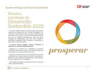 7
Nuestra estrategia de Desarrollo Sostenible
 