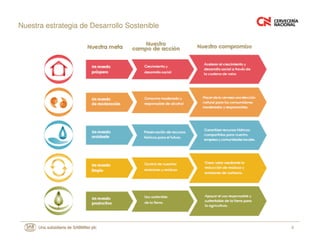8
Nuestra estrategia de Desarrollo Sostenible
 