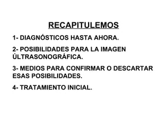 RECAPITULEMOS 1- DIAGNÓSTICOS HASTA AHORA. 2- POSIBILIDADES PARA LA IMAGEN ÚLTRASONOGRÁFICA. 3- MEDIOS PARA CONFIRMAR O DESCARTAR ESAS POSIBILIDADES. 4- TRATAMIENTO INICIAL. 