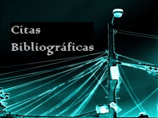 Citas Bibliográficas