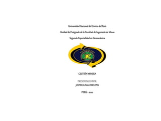 UniversidadNacionaldel Centrodel Perú
Unidadde Postgradode la Facultadde Ingenieríade Minas
SegundaEspecialidaden Geomecánica
GESTIÓNMINERA
PRESENTADO POR:
JAVIERCALLEBRAYAN
PERÚ- 2022
 