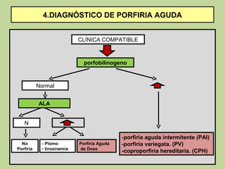4.DIAGNÓSTICO DE PORFIRIA AGUDA


                            CLÍNICA COMPATIBLE



                              porfobilinogeno



           Normal


           ALA


   N

                                             -porfiria aguda intermitente (PAI)
  No        - Plomo         Porfiria Aguda   -porfiria variegata. (PV)
Porfiria    - tirosinemia   de Doss
                                             -coproporfiria hereditaria. (CPH)
 