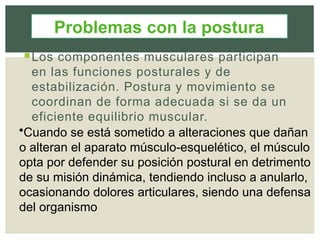 Los componentes musculares participan
en las funciones posturales y de
estabilización. Postura y movimiento se
coordinan de forma adecuada si se da un
eficiente equilibrio muscular.
•Cuando se está sometido a alteraciones que dañan
o alteran el aparato músculo-esquelético, el músculo
opta por defender su posición postural en detrimento
de su misión dinámica, tendiendo incluso a anularlo,
ocasionando dolores articulares, siendo una defensa
del organismo
Problemas con la postura
 