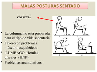CORRECTA
MALAS POSTURAS SENTADO
• La columna no está preparada
para el tipo de vida sedentaria.
• Favorecen problemas
músculo-esqueléticos
• LUMBAGO, Hernias
discales (HNP).
• Problemas acumulativos.
 