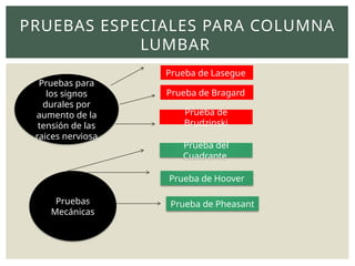 PRUEBAS ESPECIALES PARA COLUMNA
LUMBAR
Pruebas para
los signos
durales por
aumento de la
tensión de las
raices nerviosa
Prueba de Lasegue
Prueba de Bragard
Prueba de
Brudzinski
Pruebas
Mecánicas
Prueba del
Cuadrante
Prueba de Hoover
Prueba de Pheasant
 