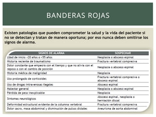 BANDERAS ROJAS
Existen patologías que pueden comprometer la salud y la vida del paciente si
no se detectan y tratan de manera oportuna; por eso nunca deben omitirse los
signos de alarma.
 