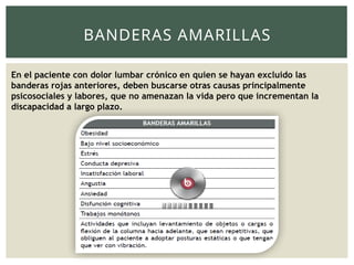 BANDERAS AMARILLAS
En el paciente con dolor lumbar crónico en quien se hayan excluido las
banderas rojas anteriores, deben buscarse otras causas principalmente
psicosociales y labores, que no amenazan la vida pero que incrementan la
discapacidad a largo plazo.
 