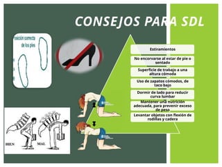 CONSEJOS PARA SDL
Estiramientos
No encorvarse al estar de pie o
sentado
Superficie de trabajo a una
altura cómoda
Uso de zapatos cómodos, de
taco bajo
Dormir de lado para reducir
curva lumbar
Mantener una nutrición
adecuada, para prevenir exceso
de peso
Levantar objetos con flexión de
rodillas y cadera
 