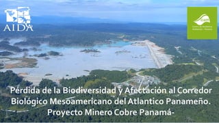 DavidCañas
Riesgo de falla de presa de relaves.
Proyecto Minero Mirador- Ecuador
Pérdida de la Biodiversidad y Afectación al Corredor
Biológico Mesoamericano delAtlantico Panameño.
Proyecto Minero Cobre Panamá-
 