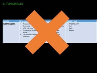 TUMOR SÍ presenta No presenta el paciente IMAGEN (TAC)
HEMANGIOMA • Predominio sexo
femenino
• > 30 - 40 años
• Predominio lumbar y
dorsal
• Localización cuerpo
vertebral.
• Mayormente asintomatica
• Mayormente lesiones unicas
• Fracturas patologicas
• Compromiso radicular
• Compromiso medular
• Patron Panal de abejas
• RADIOGRAFIA
• TAC
• RMN
• Biopsia
3. TUMORALES
 