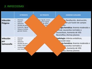 3. INFECCIOSAS
SÍ PRESENTA NO PRESENTA EXÁMENES AUXILIARES
Infección
Piógena
• Anorexia
• Astenia
• Adinamia
• Pérdida de peso
• Evolución: Aguda
• Ataque al estado
general: Severo
• Fiebre: Aguda, severa
• Presentacion aguda
• Sintomas de sepsis
• Localización: Espacio
intervertebral
Radiología: Rarefacción, destrucción,
neoformación y/o fusión de cuerpos
vertebrales.
Citologia hemática: Anemia moderada o
normal, Leucocitos normales o
Leucocitosis, Aumento de VSG
Neutrofilia y formas jóvenes
Infección
por
Salmonella
• Anorexia
• Astenia
• Adinamia
• Pérdida de peso
• Fiebre: Febrícula
• Localización: Disco y
arco neural
• Fiebre: Aguda
• Evolución: 4 semanas
después de la curación
Radiología: Infartos embólicos,
destrucción ósea
Citologia hemática: Anemia moderada o
normal, Leucocitos normales o
Leucocitosis, Aumento de VSG
Neutrofilia y formas jóvenes
 