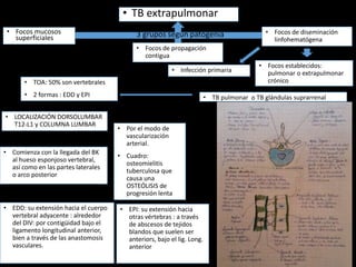 • TB extrapulmonar
3 grupos según patogenia• Focos mucosos
superficiales
• Focos de propagación
contigua
• Focos de diseminación
linfohematógena
• Infección primaria
• Focos establecidos:
pulmonar o extrapulmonar
crónico
• TB pulmonar o TB glándulas suprarrenal
• TOA: 50% son vertebrales
• 2 formas : EDD y EPI
• LOCALIZACIÓN DORSOLUMBAR
T12-L1 y COLUMNA LUMBAR
• Comienza con la llegada del BK
al hueso esponjoso vertebral,
así como en las partes laterales
o arco posterior
• Por el modo de
vascularización
arterial.
• Cuadro:
osteomielitis
tuberculosa que
causa una
OSTEÓLISIS de
progresión lenta
• EDD: su extensión hacia el cuerpo
vertebral adyacente : alrededor
del DIV: por contigüidad bajo el
ligamento longitudinal anterior,
bien a través de las anastomosis
vasculares.
• EPI: su extensión hacia
otras vértebras : a través
de abscesos de tejidos
blandos que suelen ser
anteriors, bajo el lig. Long.
anterior
 