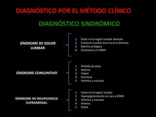 DIAGNÓSTICO POR EL MÉTODO CLÍNICO
DIAGNÓSTICO SINDRÓMICO
SÍNDROME DE DOLOR
LUMBAR
1. Dolor en la región lumbar derecha
2. Escoliosis lumbar leve hacia la derecha.
3. Marcha antálgica
4. Parestesias en MMII
1. Pérdida de peso
2. Astenia
3. Fiebre
4. Anorexia
5. Vómitos y náuseas
SÍNDROME CONSUNTIVO
SÍNDROME DE INSUFICIENCIA
SUPRARRENAL
1. Dolor en la región lumbar
2. Hiperpigmentación en cara y MMII
3. Vómitos y náuseas
4. Astenia
5. fiebre
 