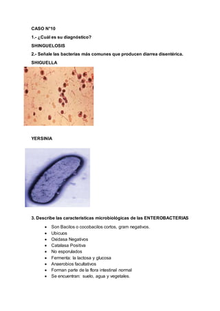 CASO N°10
1.- ¿Cuál es su diagnóstico?
SHINGUELOSIS
2.- Señale las bacterias más comunes que producen diarrea disentérica.
SHIGUELLA
YERSINIA
3. Describe las características microbiológicas de las ENTEROBACTERIAS
 Son Bacilos o cocobacilos cortos, gram negativos.
 Ubicuos
 Oxidasa Negativos
 Catalasa Positiva
 No esporulados
 Fermenta: la lactosa y glucosa
 Anaerobios facultativos
 Forman parte de la flora intestinal normal
 Se encuentran: suelo, agua y vegetales.
 