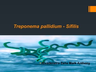 Treponema pallidium - Sífilis 
 Rivadeneira Zeña Mark Anthony 
 