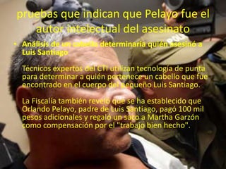 pruebas que indican que Pelayo fue el 
autor intelectual del asesinato 
• Análisis de un cabello determinaría quién asesinó a 
Luis Santiago 
Técnicos expertos del CTI utilizan tecnología de punta 
para determinar a quién pertenece un cabello que fue 
encontrado en el cuerpo del pequeño Luis Santiago. 
La Fiscalía también reveló que se ha establecido que 
Orlando Pelayo, padre de Luis Santiago, pagó 100 mil 
pesos adicionales y regaló un saco a Martha Garzón 
como compensación por el "trabajo bien hecho". 
 